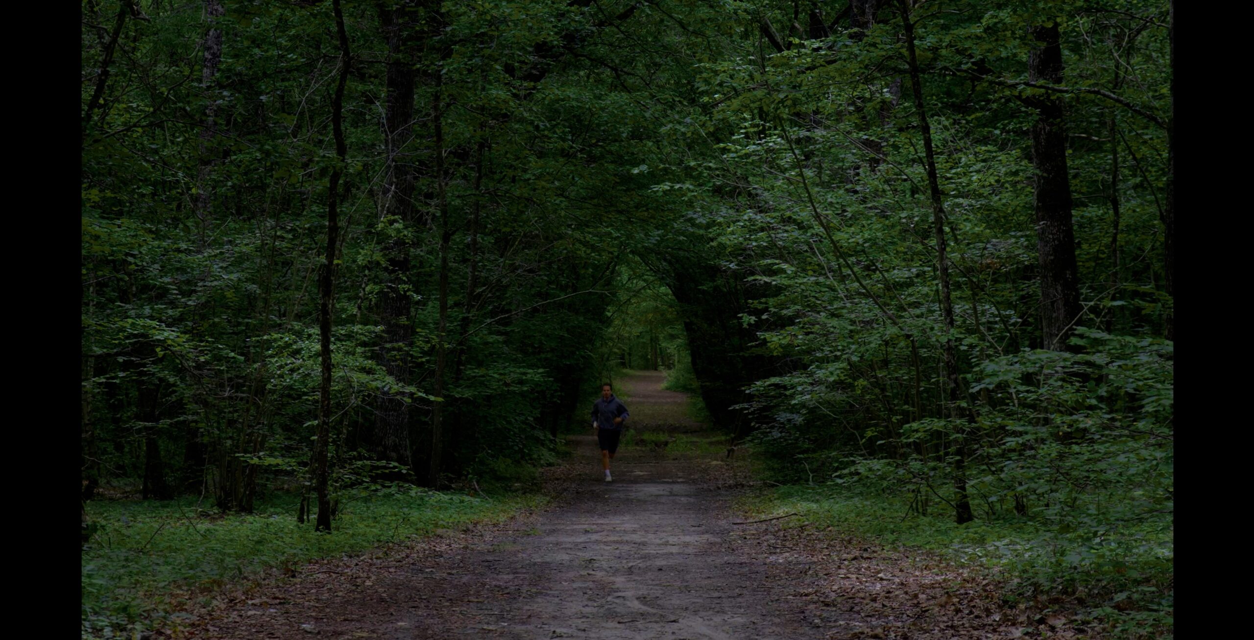 TIMELIGNE.00_19_19_02.Still376