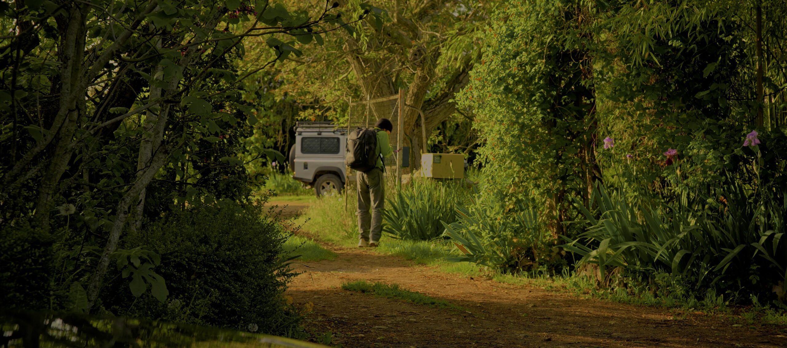 TIMELIGNE.00_20_08_17.Still386